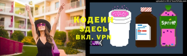 гашик Алексин