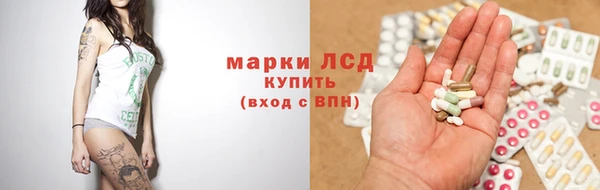 гашик Алексин