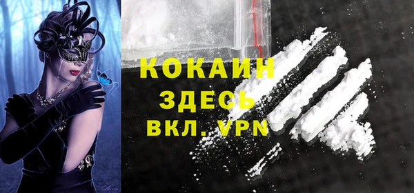 гашик Алексин