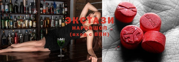 гашик Алексин