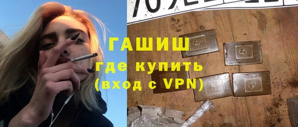 гашик Алексин