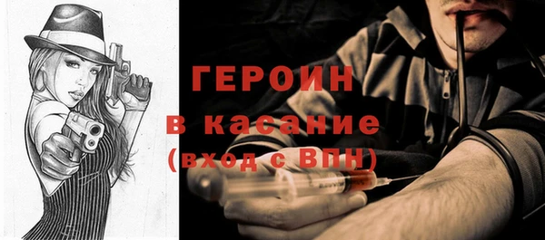 гашик Алексин