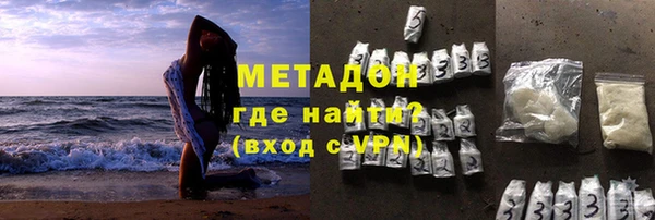 гашик Алексин